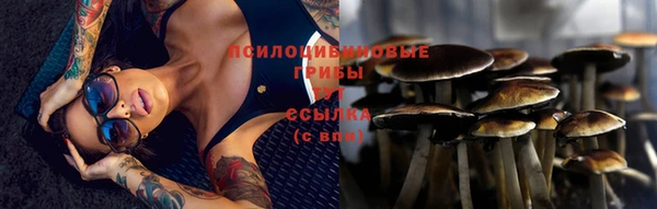 таблы Дмитров