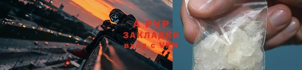 прущие крисы Дмитриев