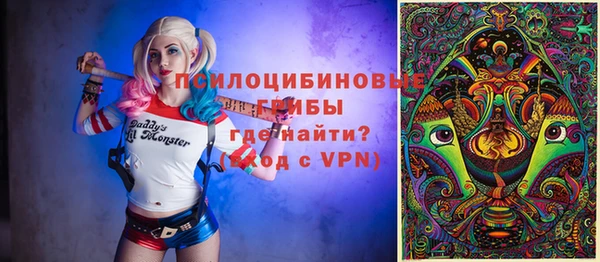мдпв Апатиты