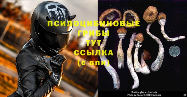 таблы Дмитров