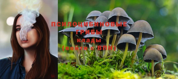 таблы Дмитров