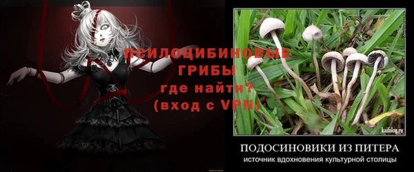 прущие крисы Дмитриев