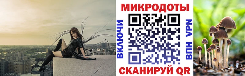 mega ТОР наркота Кизляр Галлюциногенные грибы мицелий